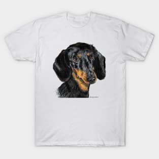 Dachshund illustration T-Shirt